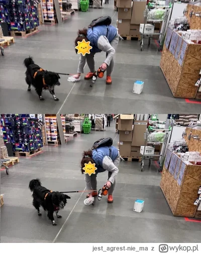 jestagrest-niema - Idę z psem na wystawę do galerii sztuki nowoczesnej.
- Tu nie woln...