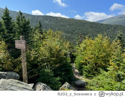 R2D2zSosnowca - @R2D2zSosnowca świetnie widać zawsze po roślinności jak zmienia się w...