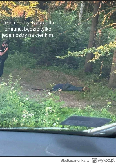 Slodkazielonka - #limanowa #heheszki