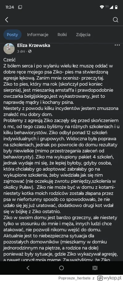 Poprosze_herbate - #psiarze #psy może ktoś chętny przygarnąć pieska? Na razie zagryzł...