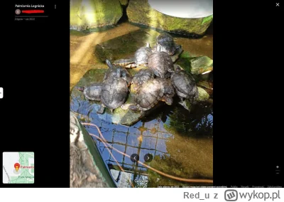 Red_u - Więcej żółwii potrzeba.