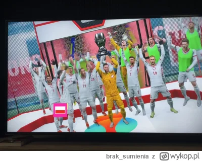 brak_sumienia - Wygrałem dla nas! Mamy to! Euro jest nasze! 

#euro2024 #mistrzostwae...