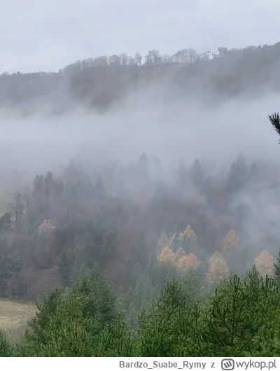 BardzoSuabeRymy - #przegryw #spierdotrip
huop chciałby zostać wiedźminem