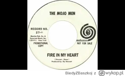 BiedyZBaszkoj - 54 / 600 - The Mojo Men - Fire in My Heart

1966

The nights are ever...