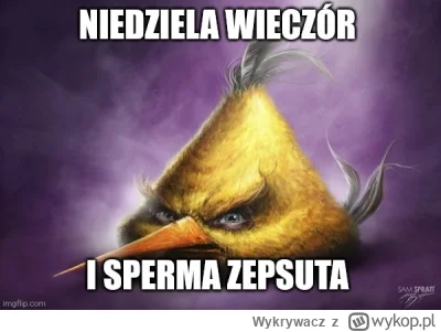 Wykrywacz - Kolejny dzień i znowu to samo  ( ͡° ʖ̯ ͡°)
#codziennasperma