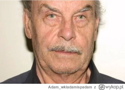 Adam_wkladamispadam - Fritz nie daruje ci tej piłki #tenis