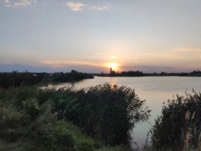 a7c8 - możesz wyjść z lasu ale las zostanie w Tobie

#spierdotrip