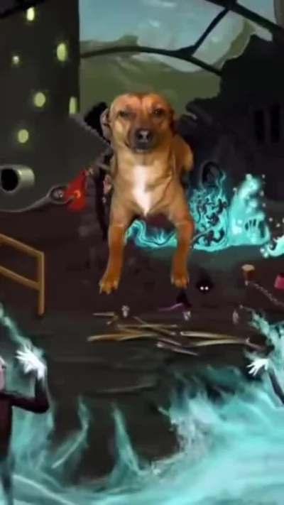 Krole - in #spanko I fall