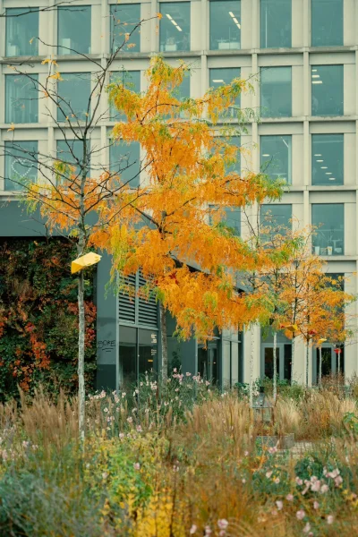 mroz3 - #dziendobry Zimno, bezchmurnie.

WIATR............ wschodni południowo-wschod...