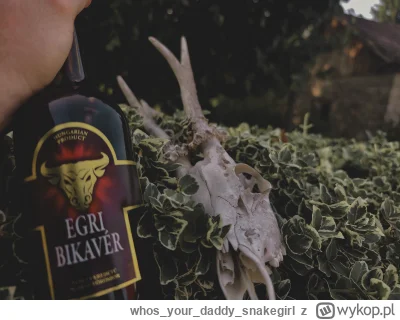 whosyourdaddy_snakegirl - Dziś na #spierdotrip znalazłem coś fajnego i postanowiłem s...
