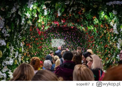 sopel87 - @WielkiNos: nie było czegoś takiego? Miasto Poznań wrzuciło zdjęcia na swoi...