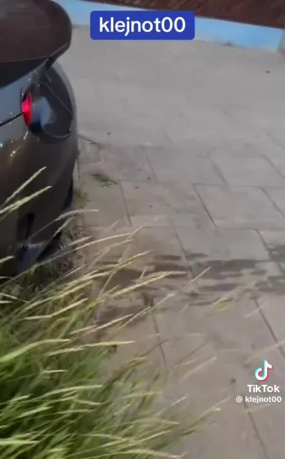 aNiechBedzieTakiLogin - Synek wiózł Beatris do pracy i miał wypadek ( ͡° ͜ʖ ͡°)
#fam...