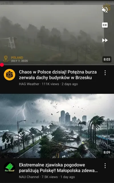 MazurskiSmak - @psiversum I tego jest więcej...