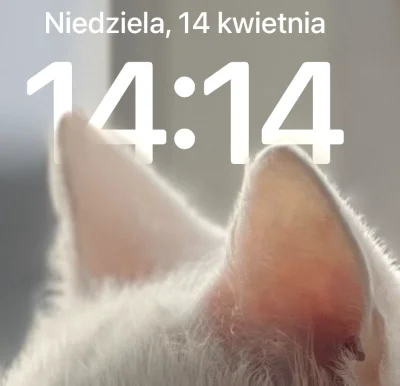 paczelok - 14 14 #paczeclock