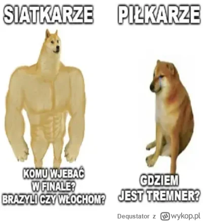 Dequstator - #siatkowka