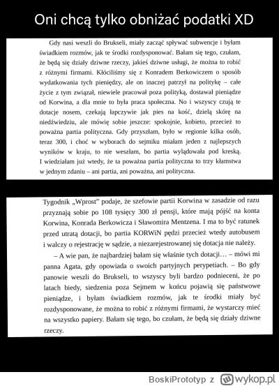 BoskiPrototyp - #polityka #heheszki #konfederacja #bekazkonfederacji