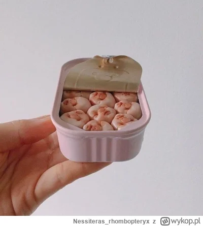 Nessiteras_rhombopteryx - #gabinetosobliwosci
SPOILER