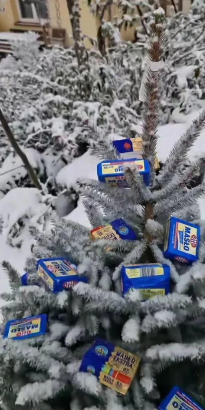 doomky - U mnie już ubrana choineczka, w tym roku na bogato. A jak tam u Was? 


#swi...