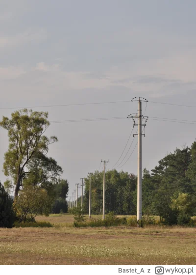 Bastet_A - #fotografia #mojezdjecie #tworczoscwlasna