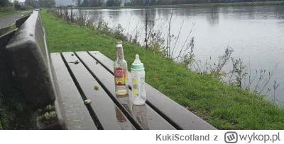 KukiScotland - Spacerową porą LOL Nie wierzę 😂 #wykop #heheszki