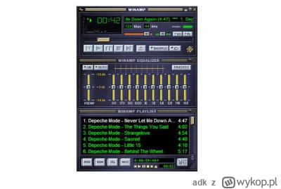 adk - @birkinha: Jedyna słuszna skórka: