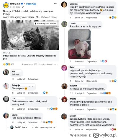 WielkiNos - Festiwal komentarzy psiarzy pod postem o zagryzionym przez pitbulla facec...
