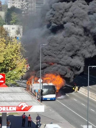goferek - Kiedy jest już październik, w innych miastach już jest smog, a w Krakowie n...