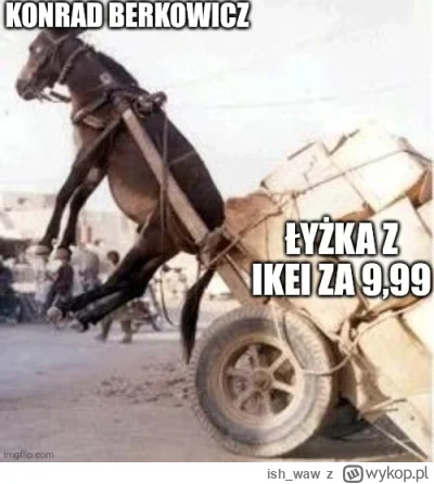 ish_waw - #bekazkonfederacji #polityka #humorobrazkowy