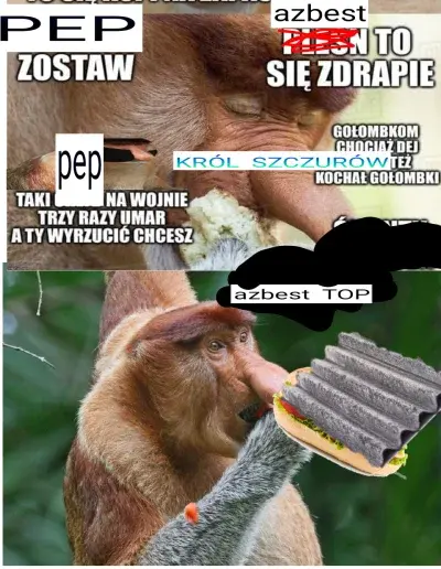 lvbie_placki - azbest de best
#konkursnanajbardziejgownianymemznosaczem