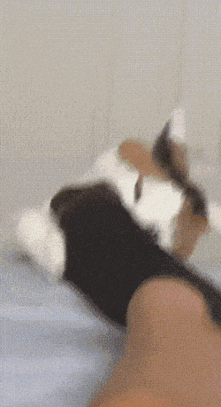 wfyokyga - Kiciu stupkarz