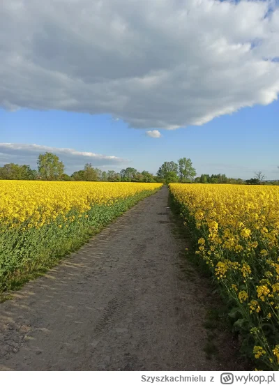 Szyszkachmielu - 215 178 + 28 + 22 + 26 = 215 254

Takie tam luźne kręcenie wkoło kom...