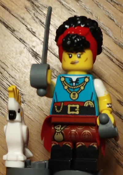 ExtraPensja - #codziennaminifigurka

Ponoc kobieta na statku przynosi pecha...