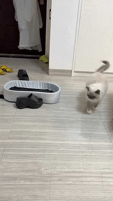 jestemtakizmeczony - @jestemtakizmeczony: