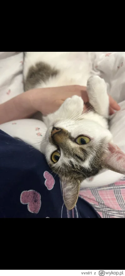 vvn81 - @Solsith piekny chybq jakas rodzinw mojefo kajetana