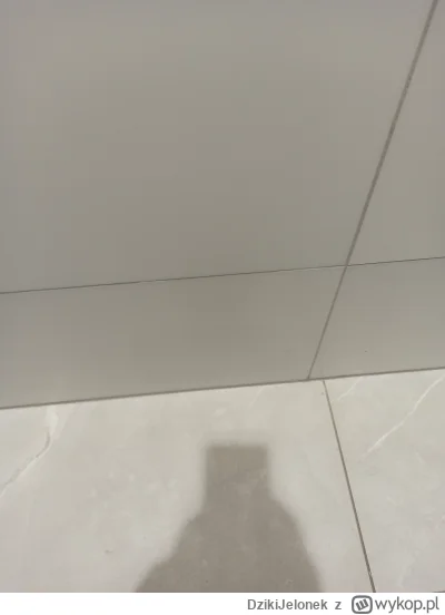 DzikiJelonek - #przegryw dobre trukele się muszą po kiblach w kołchozach chować a osk...