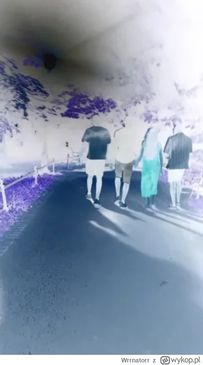 Wrrnatorr - Normalna grupa białych znajomych idą na nocny spacer w tym jedna czarna k...