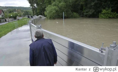 Kantar - Jakbym mieszkał na tych terenach to bym zbudował ogrodzenie które w razie cz...