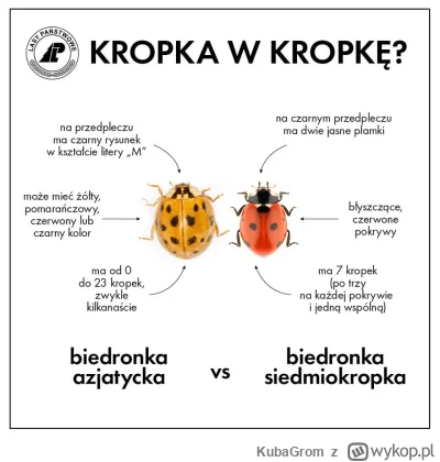 KubaGrom - #owady #ciekawostki #nauka