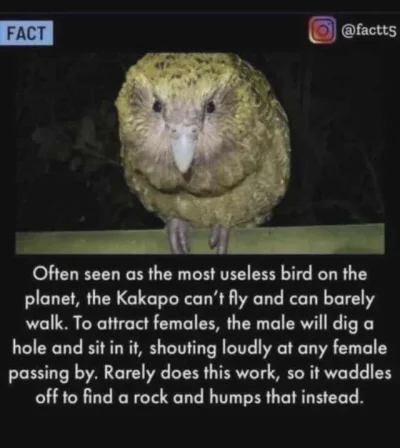 krystiano_ps3 - #przegryw