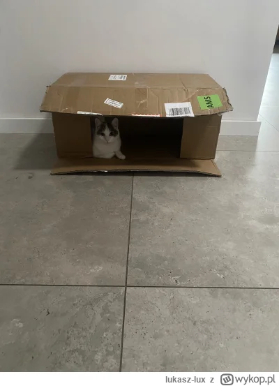 lukasz-lux - Zapraszam miłych kotków na spotkanie w mojim apartamencie. Nie spotykam ...