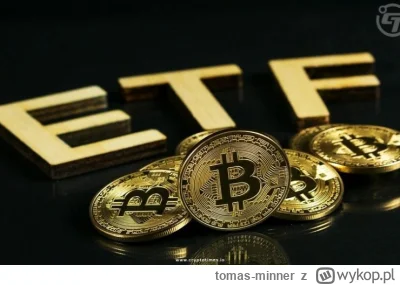 tomas-minner - Liczba wyszukiwań frazy „spot Bitcoin ETF” osiągnęła rekord
 https://b...