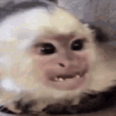 CzikaKiri - @lazzwave: @KnurSwiata