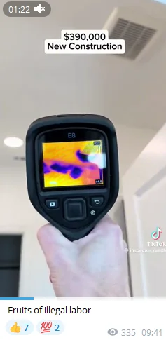 Phallusimpudicus - $390 000 budowa, przykład co się stanie jak będziecie zatrudniać p...