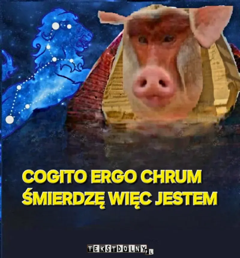 _______________________ - @aquillus: Mówię do ciebie spoza systemu, przerywamy symula...