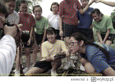 smiech2 - @Logytaze: Mówisz o kolorowaniu przez kratkowanie?
Celowałem w coś w tym st...