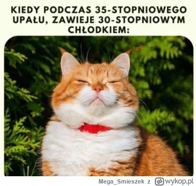 Mega_Smieszek