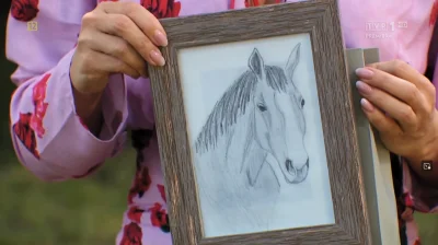 capol2 - #rolnikszukazony portret konia