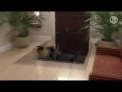 Qba_89 - @k3100: ( ͡° ͜ʖ ͡°)