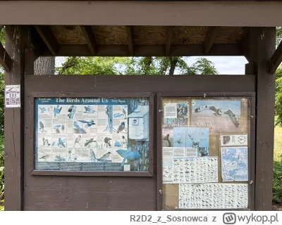 R2D2zSosnowca - @R2D2zSosnowca tak w ogóle to jest to stanowisko lęgowe całego mnóstw...