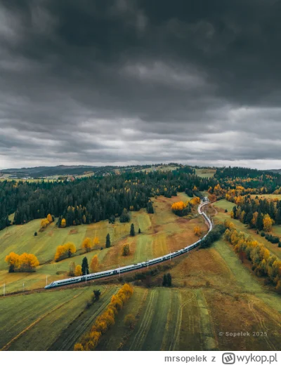 mrsopelek - W drogę powrotną do Warszawy dwa Pendolina zostały ze sobą sprzęglone, a ...